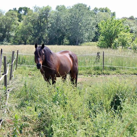 Lobilum En Camargue Villa แซ็ง-มาร์ตอง-เดอ-ครูว์ ภายนอก รูปภาพ